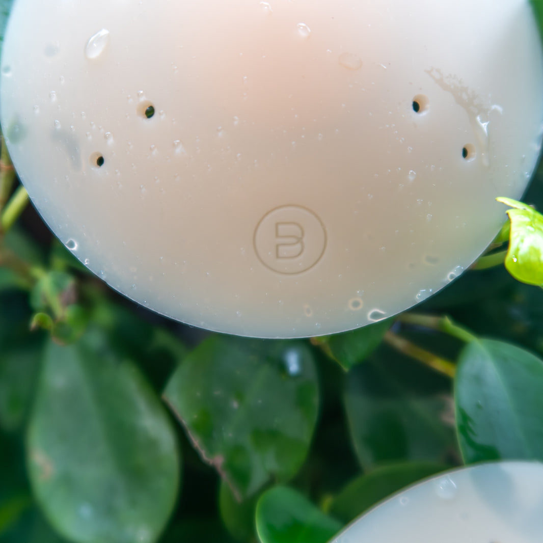 Naturelle silicone petals with breathe points among green foliage